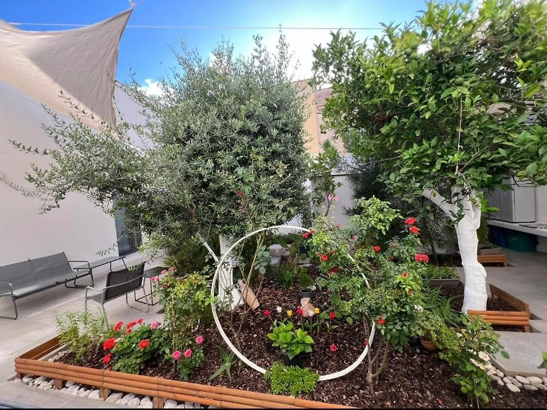 Bed and Breakfast Patio 101 San Vito Lo Capo 2*,