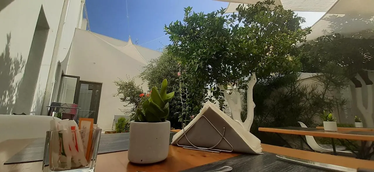 Patio 101 